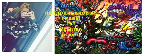 MDMA Краснослободск