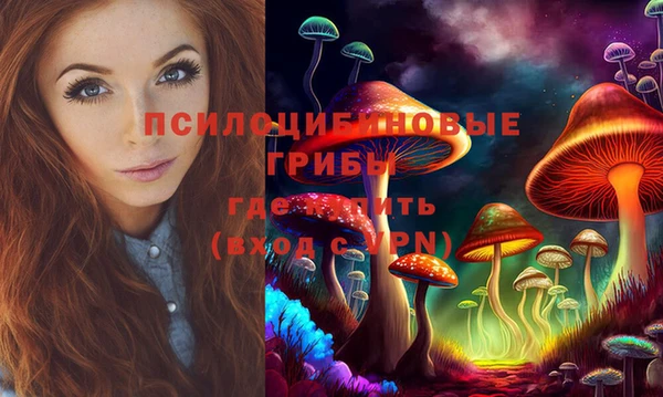 MDMA Краснослободск