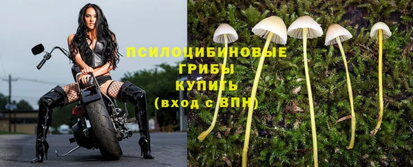 спайс Красноперекопск