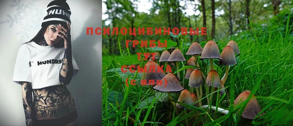 MDMA Краснослободск