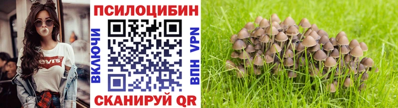 Псилоцибиновые грибы Psilocybine cubensis  Купить закладки  Алексеевка 